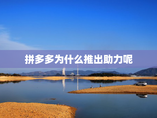 拼多多为什么推出助力呢