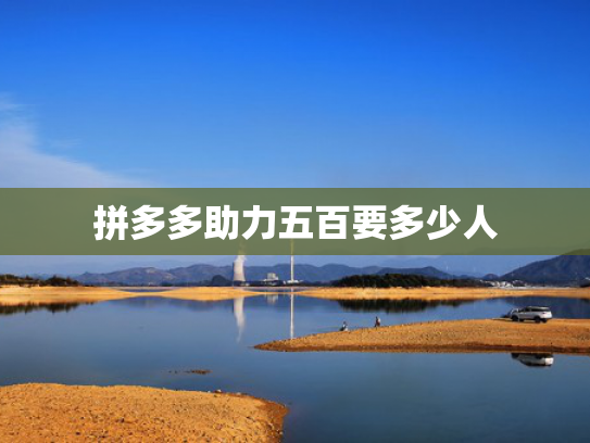 拼多多助力五百要多少人