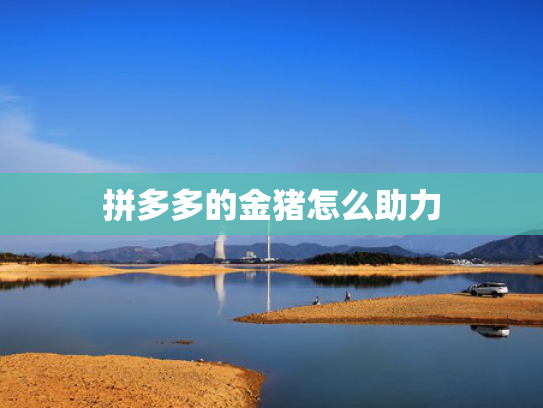 拼多多的金猪怎么助力