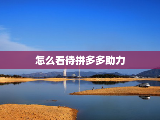 怎么看待拼多多助力