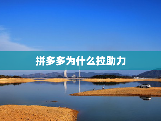 拼多多为什么拉助力