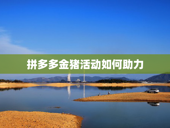 拼多多金猪活动如何助力