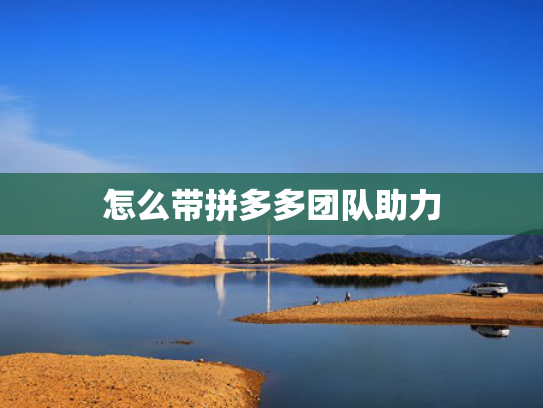怎么带拼多多团队助力