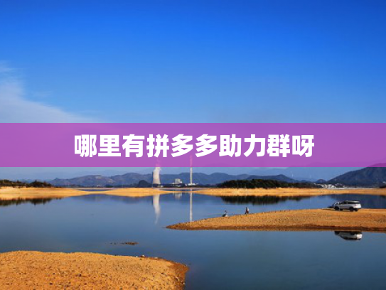 哪里有拼多多助力群呀