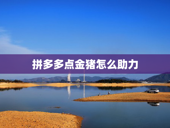拼多多点金猪怎么助力