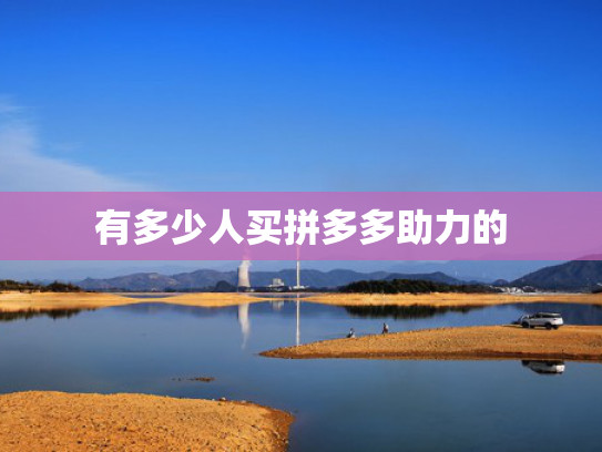 有多少人买拼多多助力的